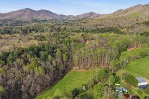 853 Caler Rd, Brasstown, NC 28902 - Photo 129
