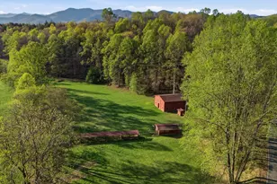 853 Caler Rd, Brasstown, NC 28902 - Photo 111