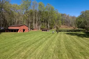 853 Caler Rd, Brasstown, NC 28902 - Photo 11