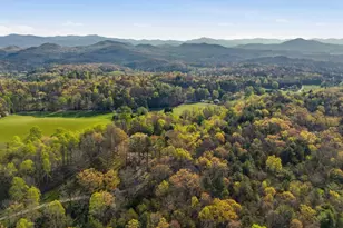 853 Caler Rd, Brasstown, NC 28902 - Photo 131