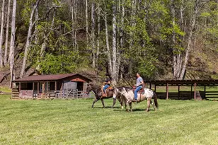 853 Caler Rd, Brasstown, NC 28902 - Photo 123