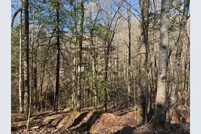 00 Robin Rd & Wren Lane, Murphy, NC 28906 - Photo 5