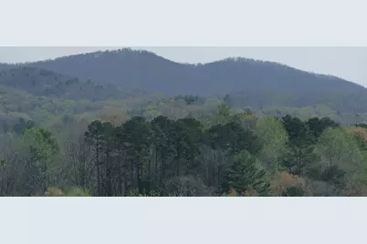 210 Canal Lake Road, Blairsville, GA 30512 - Photo 53