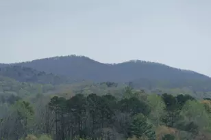 210 Canal Lake Rd, Blairsville, GA 30512 - Photo 53