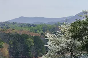 210 Canal Lake Rd, Blairsville, GA 30512 - Photo 73