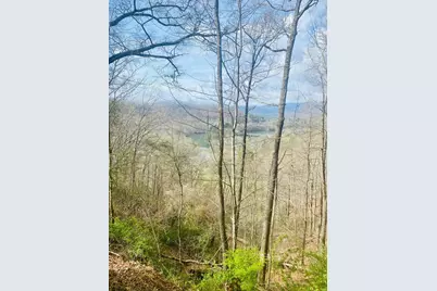 26 Hidden Falls Trail, Robbinsville, NC 28771 - Photo 3