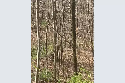 26 Hidden Falls Trail, Robbinsville, NC 28771 - Photo 5