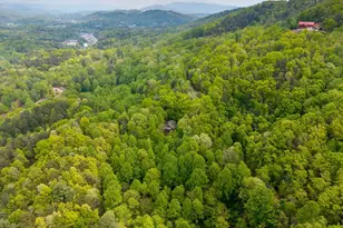 176 New Castle Rd, Murphy, NC 28906 - Photo 41