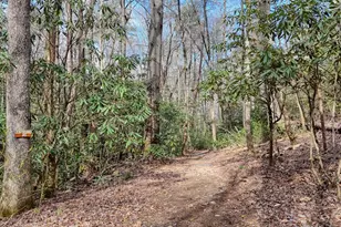 520 Farmer Dr, Murphy, NC 28906 - Photo 129
