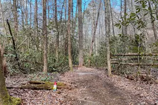 520 Farmer Dr, Murphy, NC 28906 - Photo 131