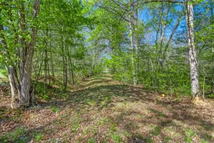 7373 Sr-325, Blairsville, GA 30512 - Photo 131