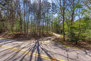 7373 Sr-325, Blairsville, GA 30512 - Photo 103