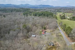 1266 Ford Rd, Warne, NC 28909 - Photo 51