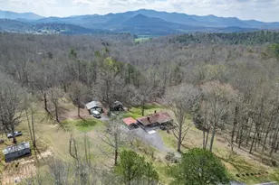 1266 Ford Rd, Warne, NC 28909 - Photo 49