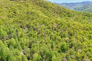 8 Stoney Brook Trail, Hayesville, NC 28904 - Photo 45