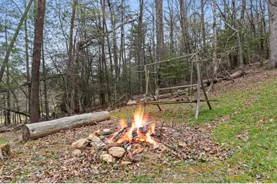 541 Black Ankle Creek, Cherry Log, GA 30522 - Photo 29