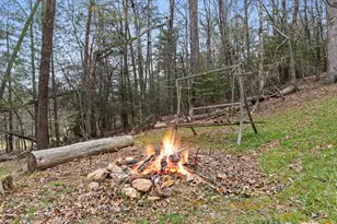 541 Black Ankle Creek, Cherry Log, GA 30522 - Photo 29