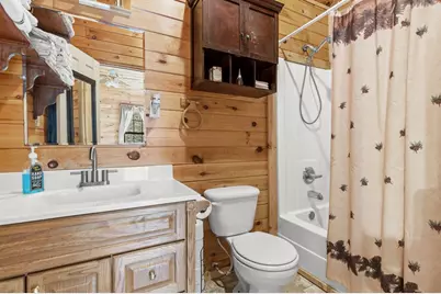 541 Black Ankle Creek, Cherry Log, GA 30522 - Photo 25