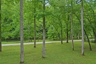 192 Nantahala Dam Rd, Nantahala, NC 28781 - Photo 31
