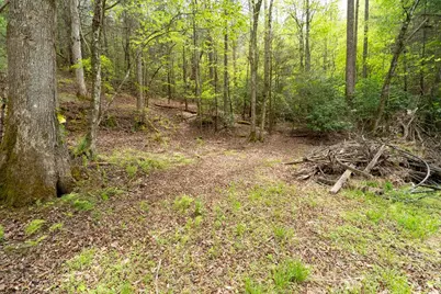 125 Milk and Honey Drive, Murphy, NC 28902 - Photo 15