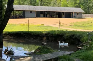 136 Gibson Rd, Andrews, NC 28901 - Photo 17
