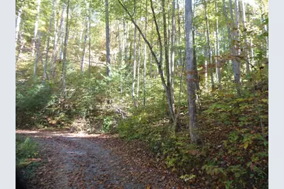 27 Page Lane, Murphy, NC 28906 - Photo 5