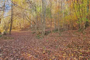 342 Hunter Ridge, Murphy, NC 28906 - Photo 77