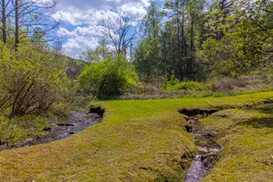 1303 Atoah Rd, Robbinsville, NC 28771 - Photo 51