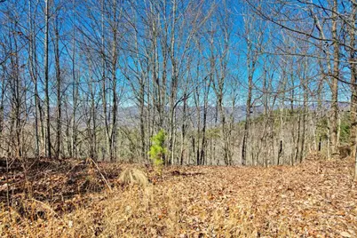 1441 Valley View Heights Lane, Andrews, NC 28901 - Photo 7