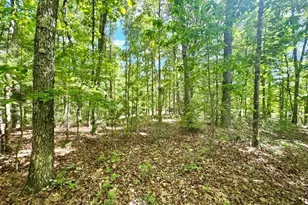 Lt 3 Rockridge Rd, Murphy, NC 28906 - Photo 1