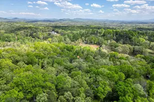 100 Fern Cv Ln, Murphy, NC 28906 - Photo 7
