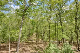 100 Fern Cv Ln, Murphy, NC 28906 - Photo 19