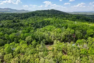 100 Fern Cv Ln, Murphy, NC 28906 - Photo 5