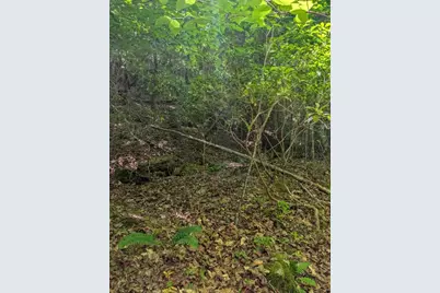 00 Talc Mine Road, Murphy, NC 28906 - Photo 5