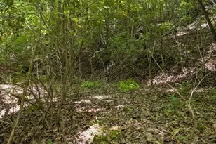 00 Talc Mine Rd, Murphy, NC 28906 - Photo 1