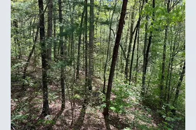 230 Putt Putt Lane, Murphy, NC 28906 - Photo 35
