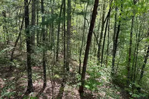 230 Putt Putt Ln, Murphy, NC 28906 - Photo 35