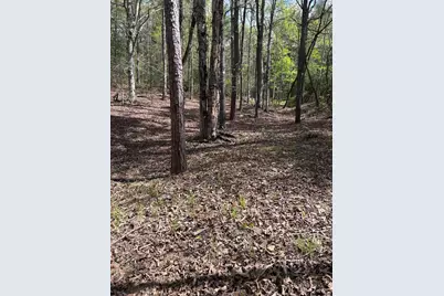 140 Hounds Run Lane, Murphy, NC 28906 - Photo 3