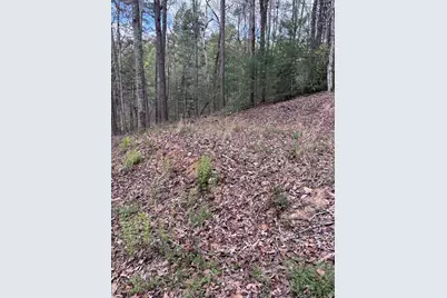 140 Hounds Run Lane, Murphy, NC 28906 - Photo 5