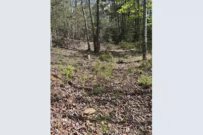 140 Hounds Run Lane, Murphy, NC 28906 - Photo 7