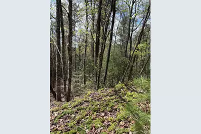 140 Hounds Run Lane, Murphy, NC 28906 - Photo 13