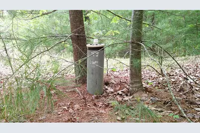 00 Tracks Hollow, Murphy, NC 28906 - Photo 3