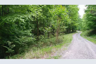 00 Tracks Hollow, Murphy, NC 28906 - Photo 5