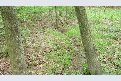00 Tracks Hollow, Murphy, NC 28906 - Photo 11