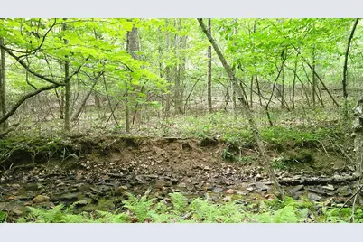 00 Tracks Hollow, Murphy, NC 28906 - Photo 17