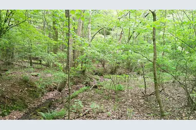 00 Tracks Hollow, Murphy, NC 28906 - Photo 25
