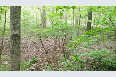 00 Tracks Hollow, Murphy, NC 28906 - Photo 23