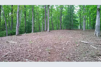 00 Tracks Hollow, Murphy, NC 28906 - Photo 39
