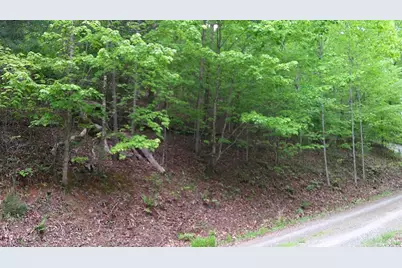 00 Tracks Hollow, Murphy, NC 28906 - Photo 27