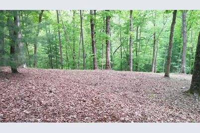 00 Tracks Hollow, Murphy, NC 28906 - Photo 35